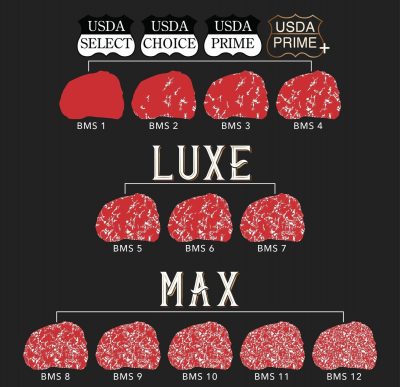 Tìm hiểu về tiêu chuẩn vân mỡ của thịt bò Wagyu