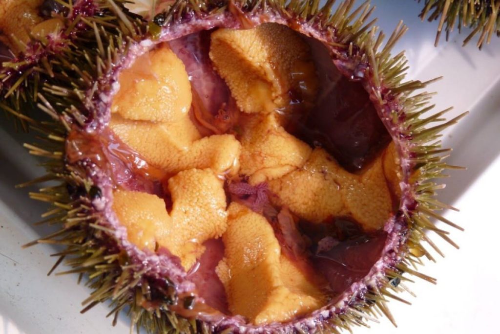 Nhum Biển - Vẻ Đẹp Của Nguyên Liệu Bản Địa