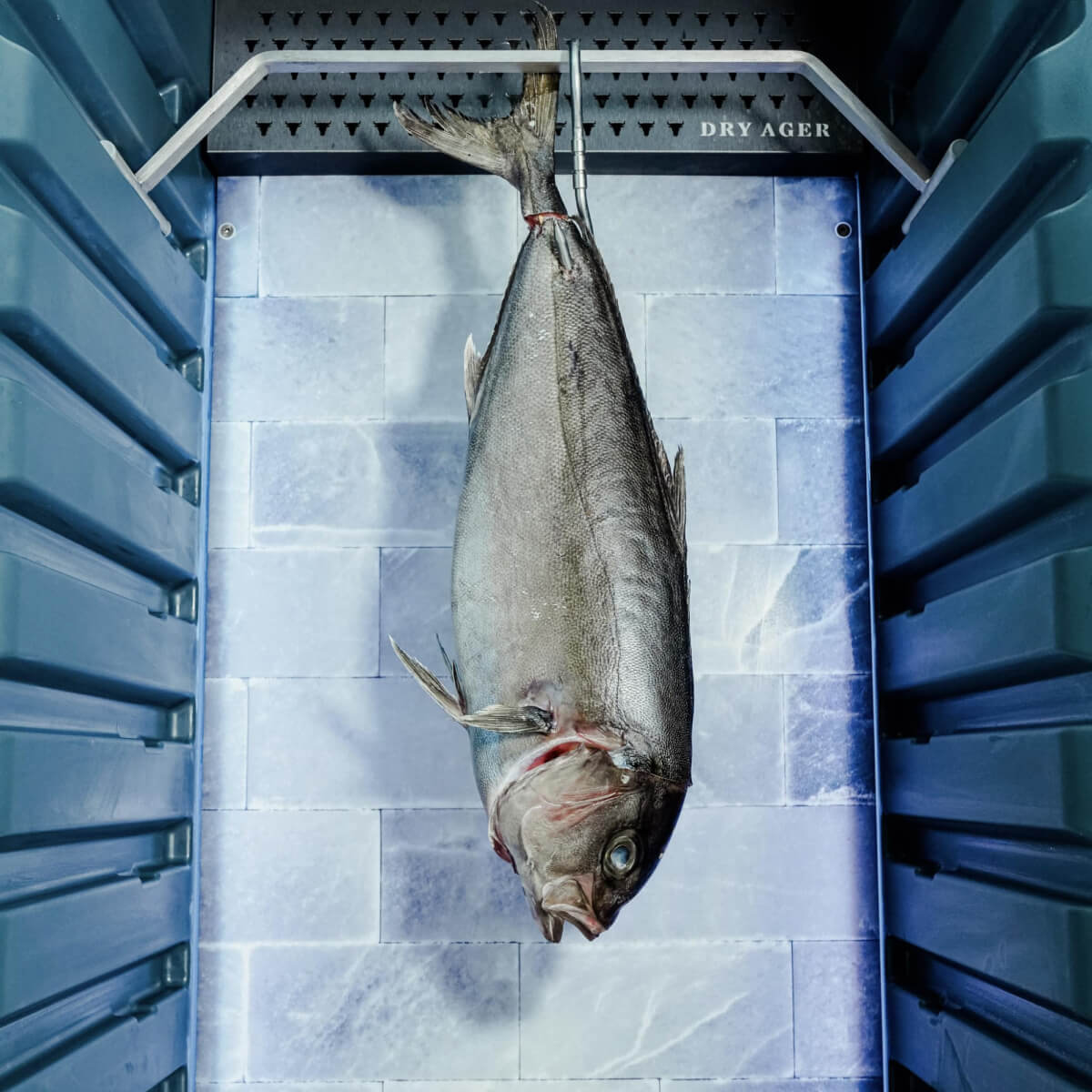 Ưu điểm của món cá lên tuổi