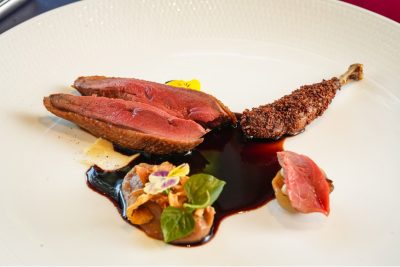 Chim câu Pháp Fermiers du Poitou