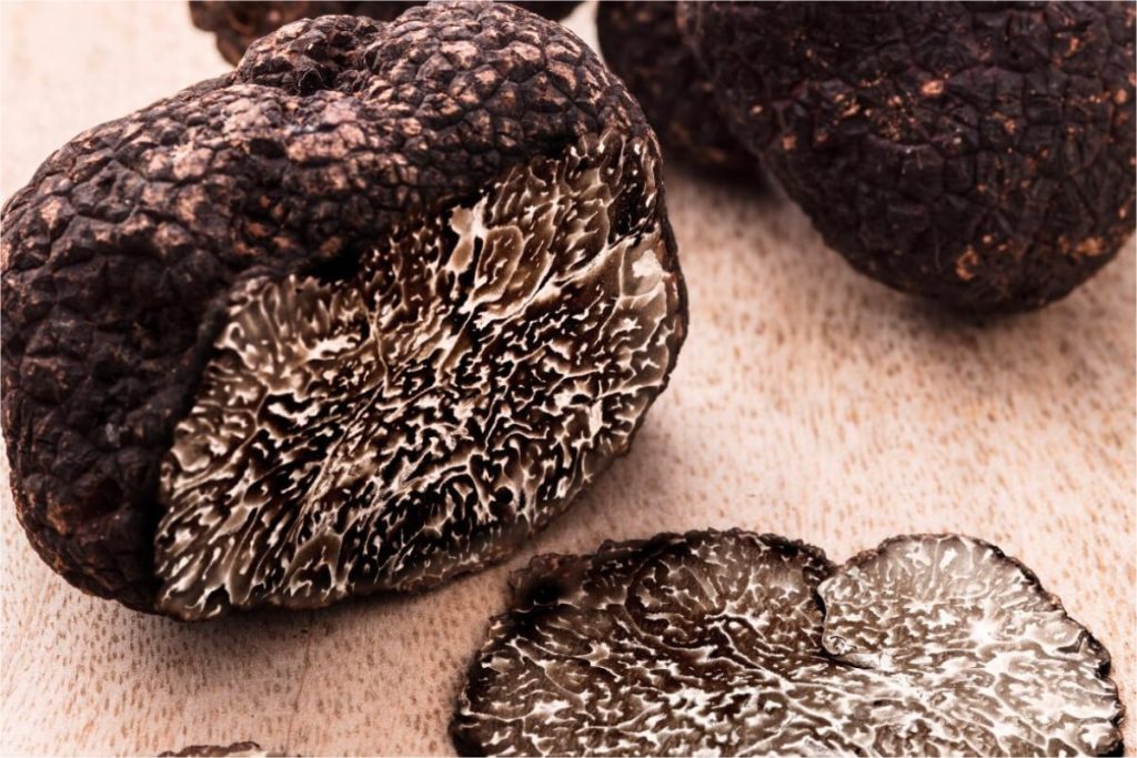 Nấm Truffle Périgord - “Viên kim cương đen” của ẩm thực Pháp